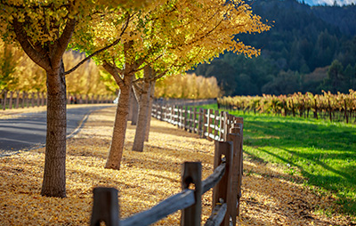 Guardrails
