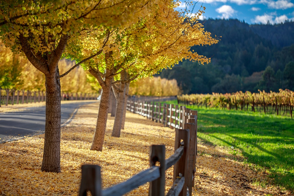 Guardrails